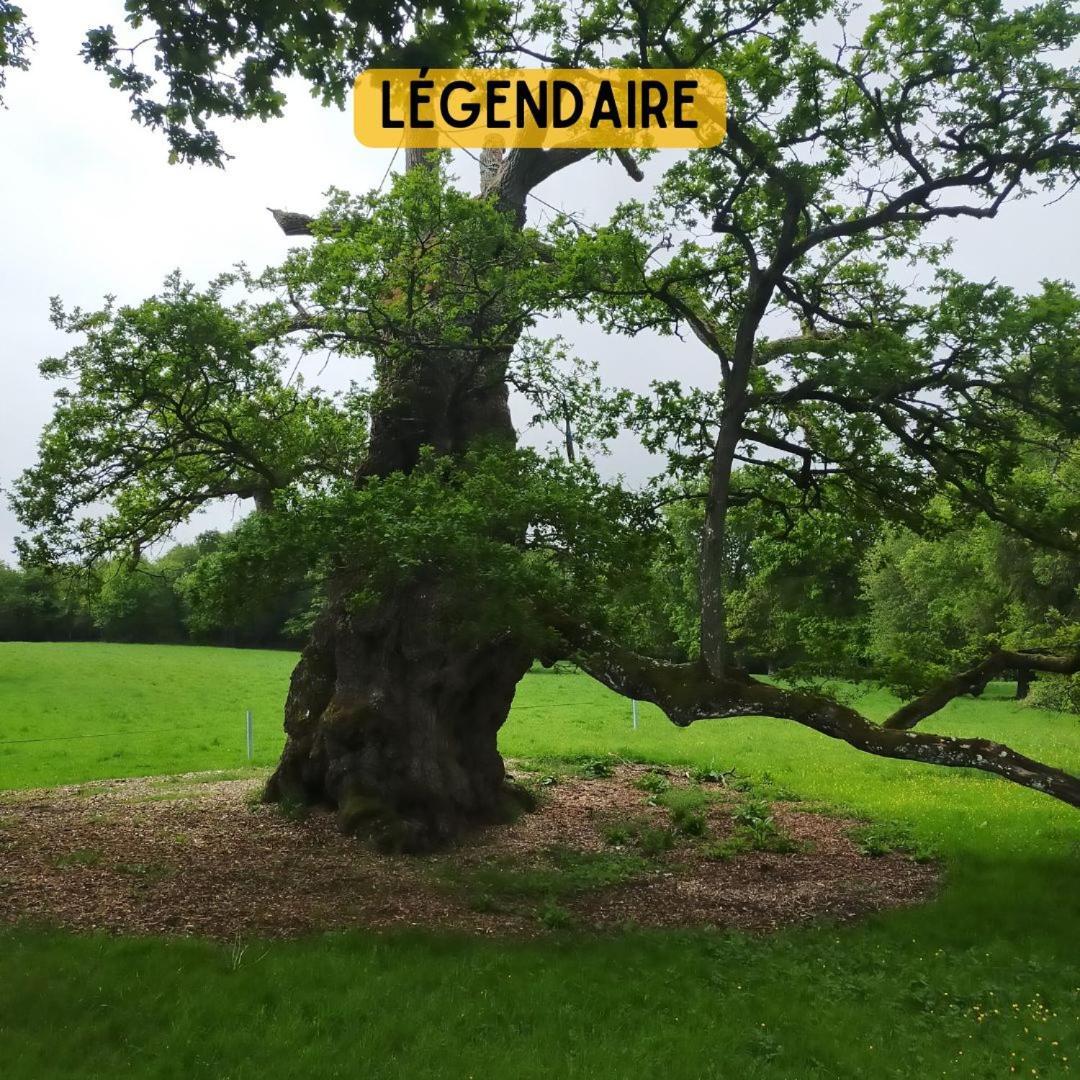 Camping Le Val Aux Fees - Broceliande Concoret Luaran gambar